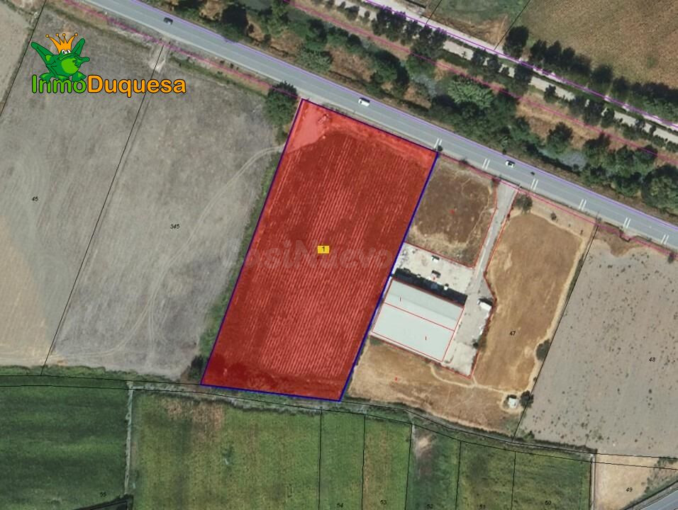 Finca rústica de regadío en la Vega de Granada. (Facil acces