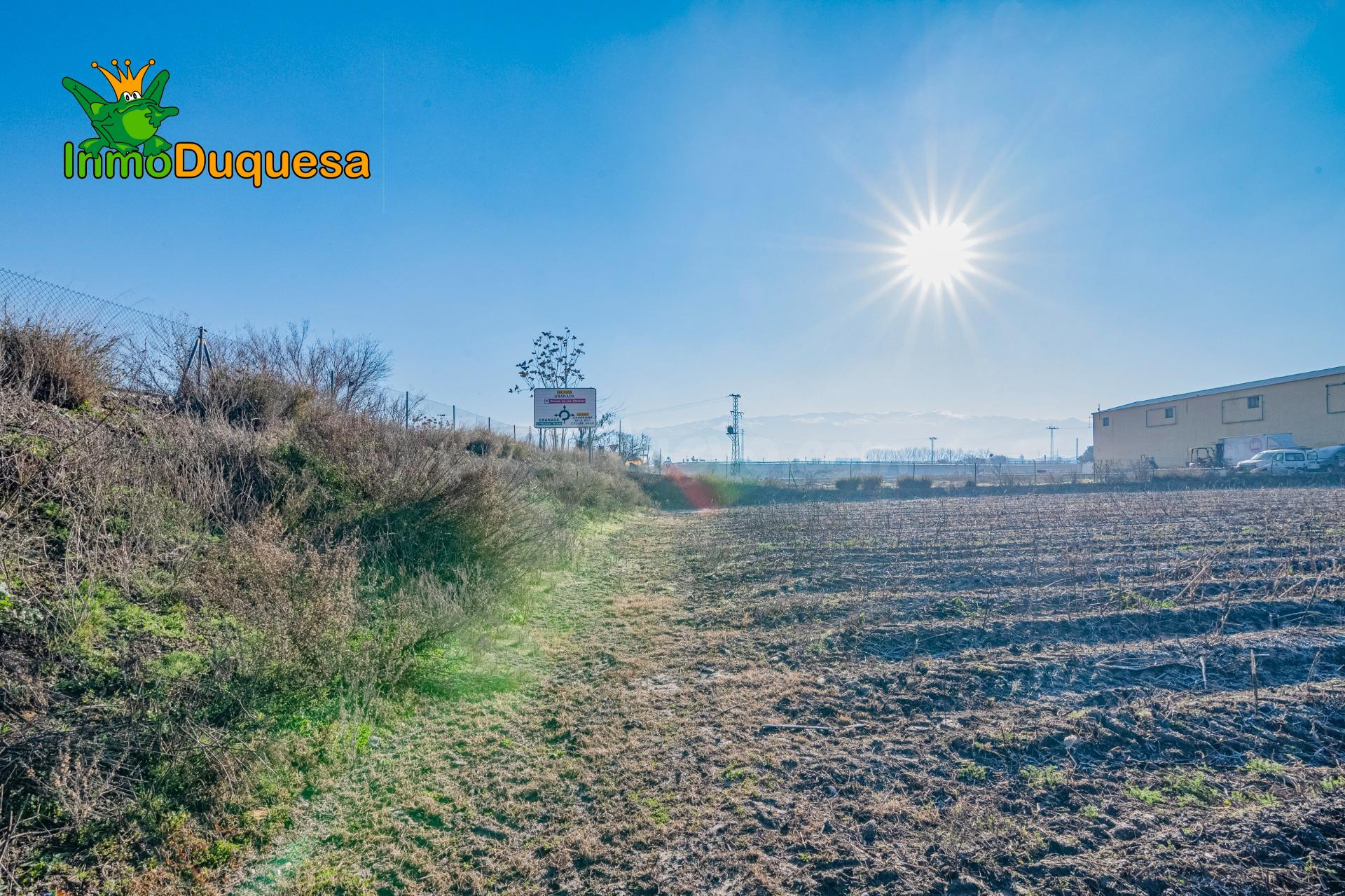 Finca rústica de regadío en la Vega de Granada. (Facil acces - foto 5