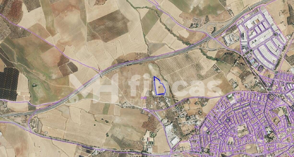 FINCA RÚSTICA EN VENTA EN CARMONA – 18.000 m2 CON POZO – CER - foto 2
