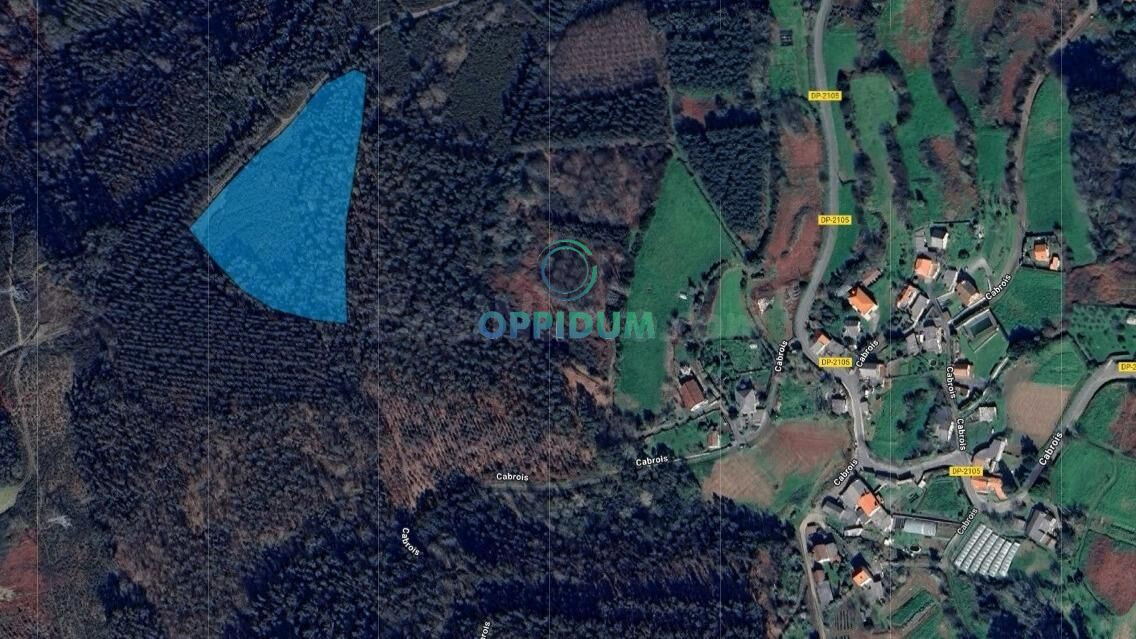 VENTA DE MONTE DE 12.600 M2 EN CABROIS, CARRAL