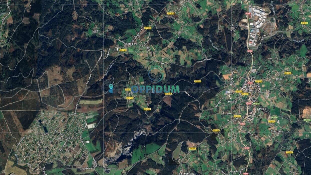 VENTA DE MONTE DE 12.600 M2 EN CABROIS, CARRAL - foto 3