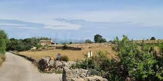 Oportunidad Finca en venta en Sineu apta para construir chal - foto 2