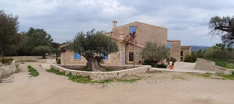 Finca única en Montuïri: 31,7 acres exclusivos y plantación 