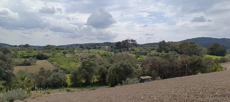 Finca única en Montuïri: 31,7 acres exclusivos y plantación  - foto 4