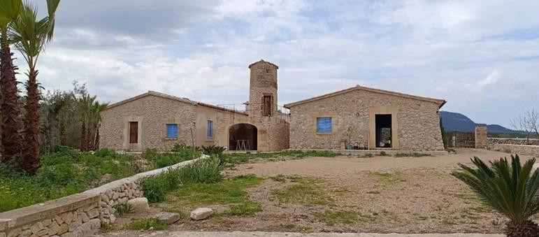 Finca única en Montuïri: 31,7 acres exclusivos y plantación  - foto 5