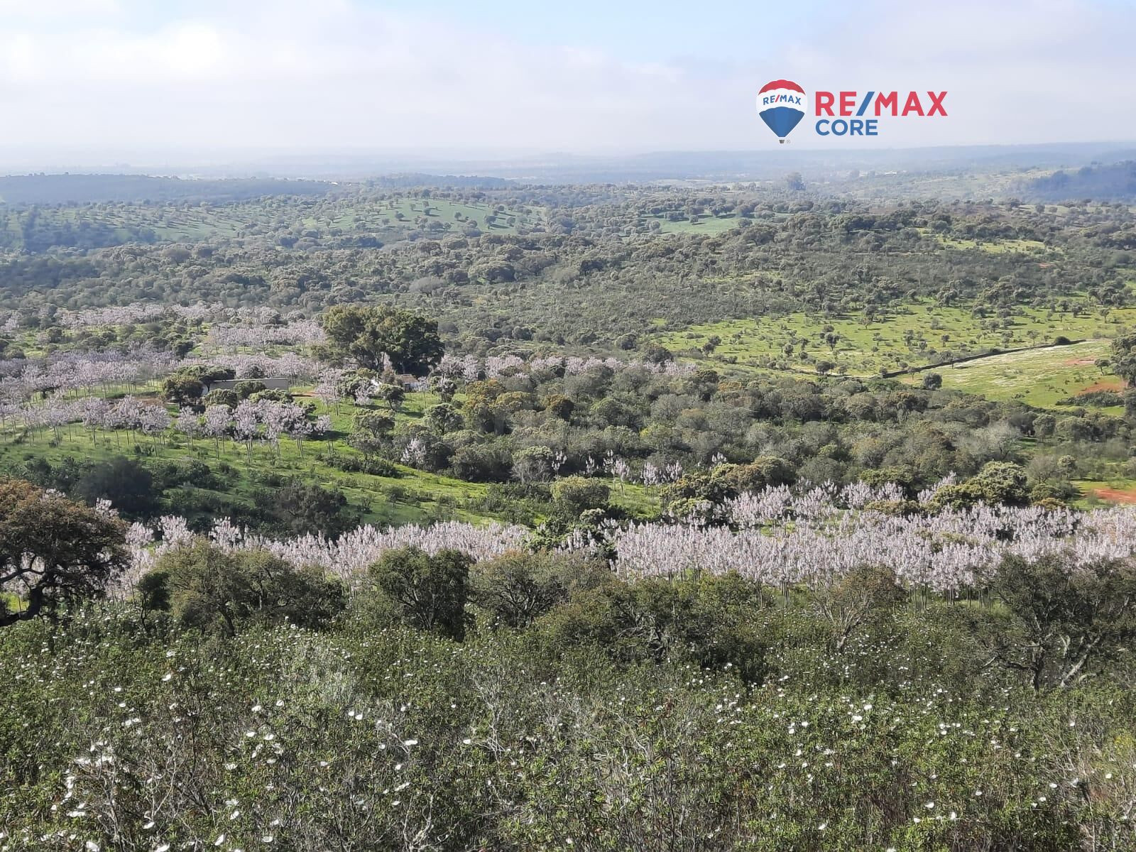 MAGNIFICA FINCA EN ALBURQUERQUE, BADAJOZ