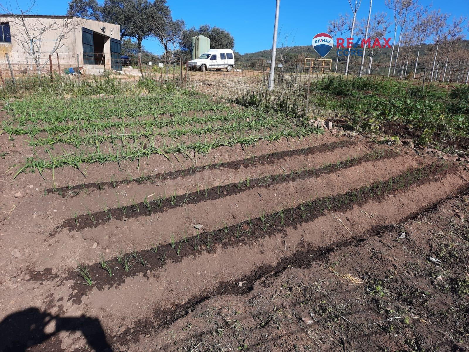 MAGNIFICA FINCA EN ALBURQUERQUE, BADAJOZ - foto 5