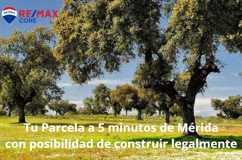 Venta de 7 Parcelas Rusticas con posibilidad de construir legalmente