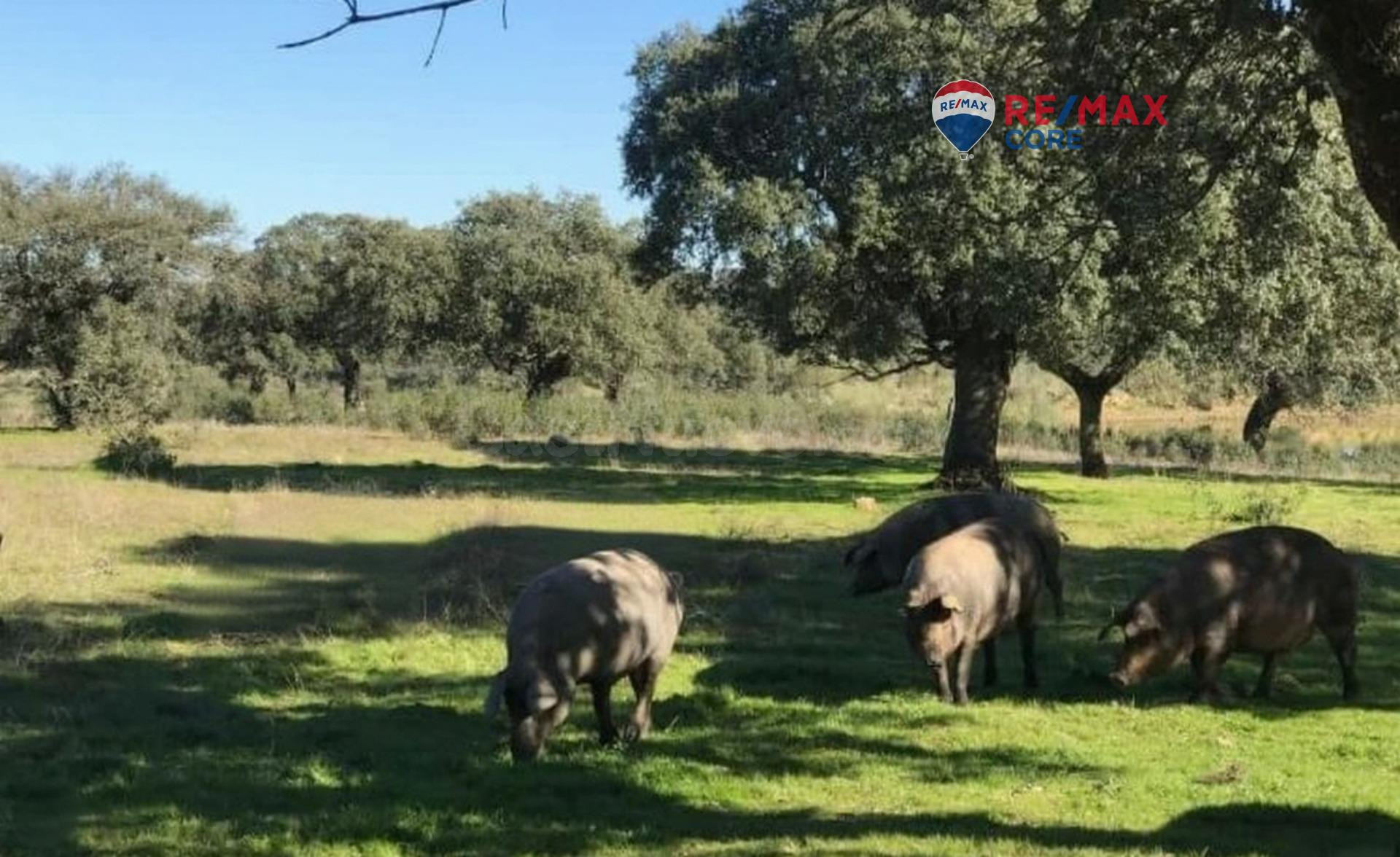 Finca en Venta: Un Paraíso Rural a Solo Diez Minutos de Bada