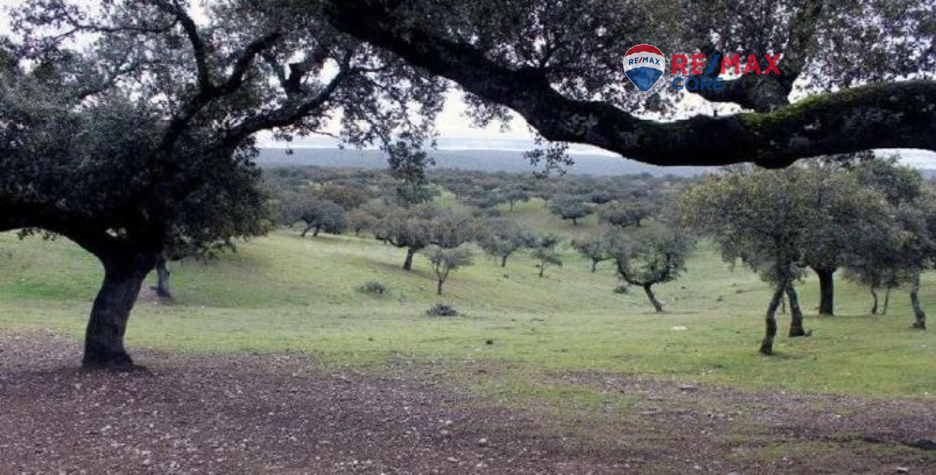 Finca en Venta: Un Paraíso Rural a Solo Diez Minutos de Bada - foto 2