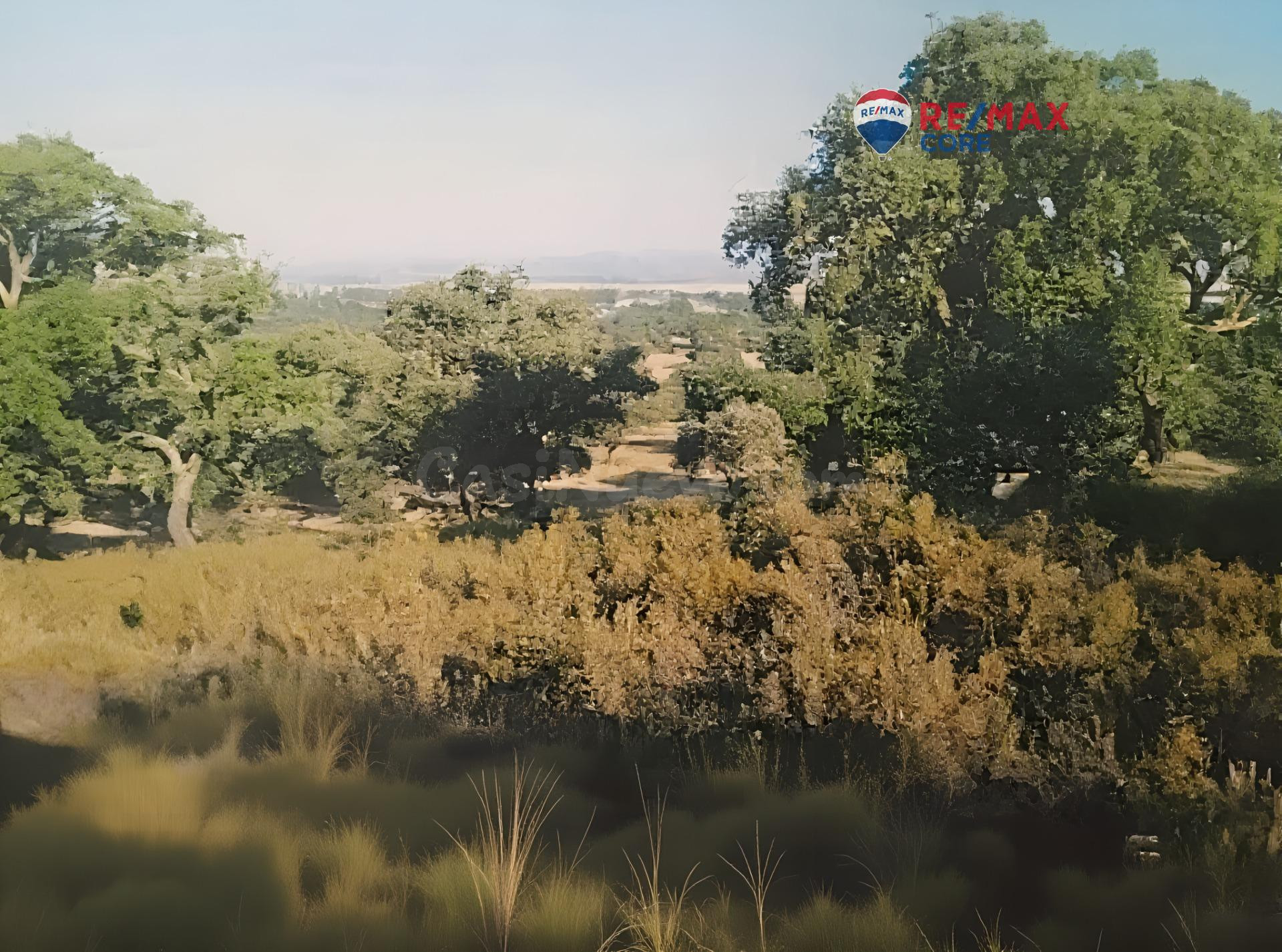 Finca en Venta: Un Paraíso Rural a Solo Diez Minutos de Bada - foto 4