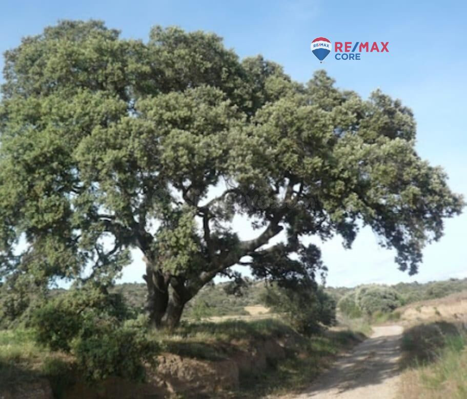 Finca Rústica en Dehesa de Encinas con Potencial Ganadero