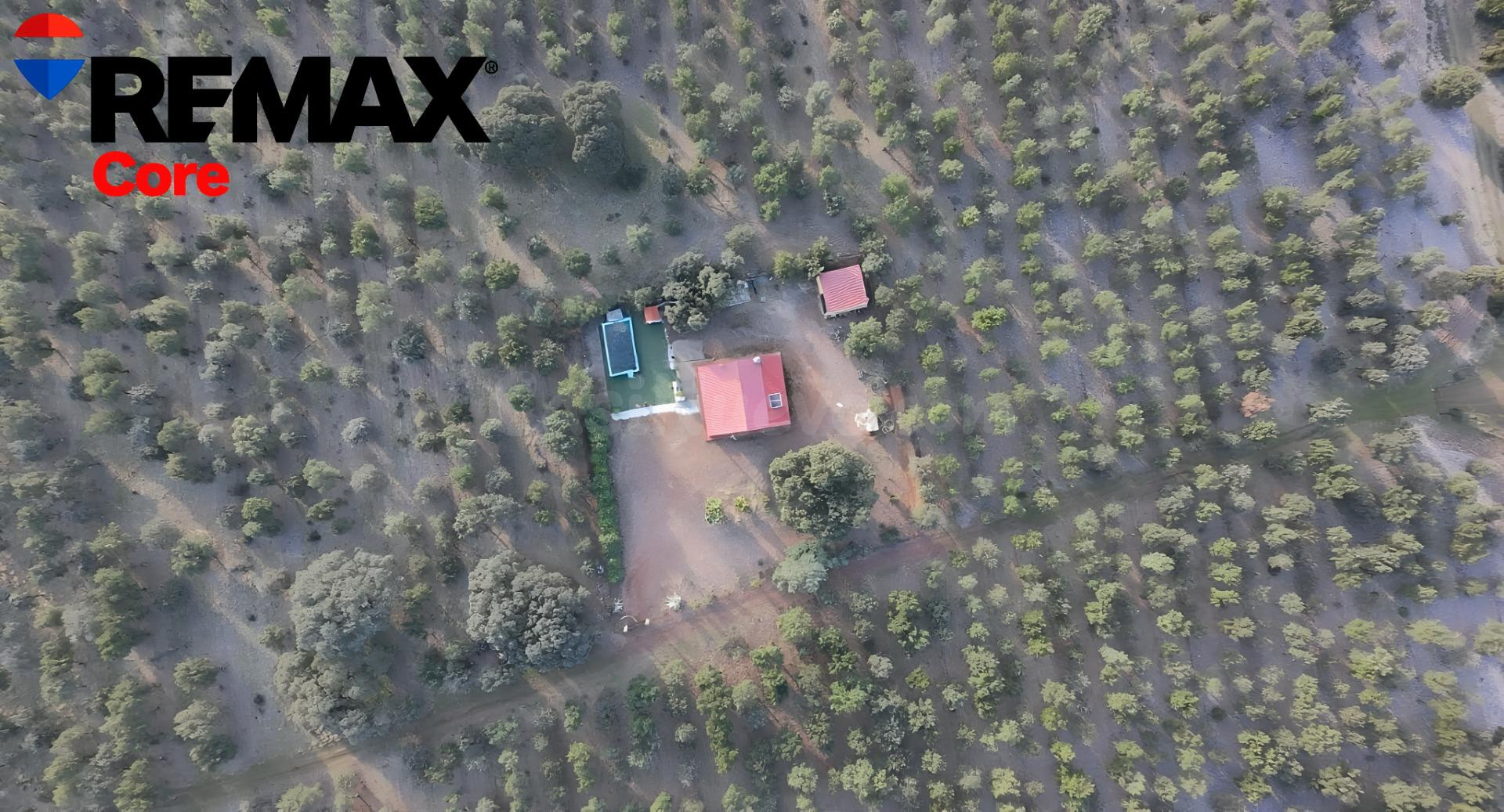 FINCA ESPECTACULAR CON CASA Y PISCINA