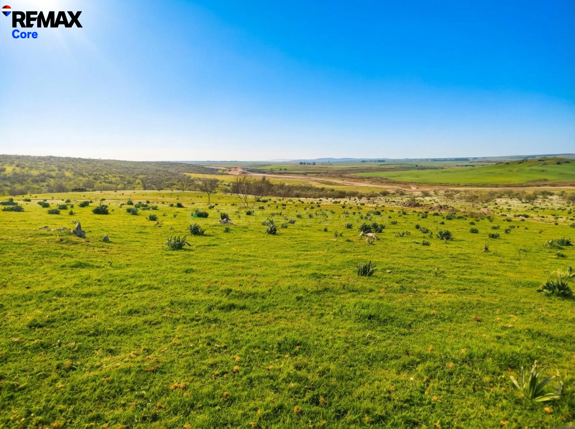 Finca Ganadera en Venta: Oportunidad de Inversión