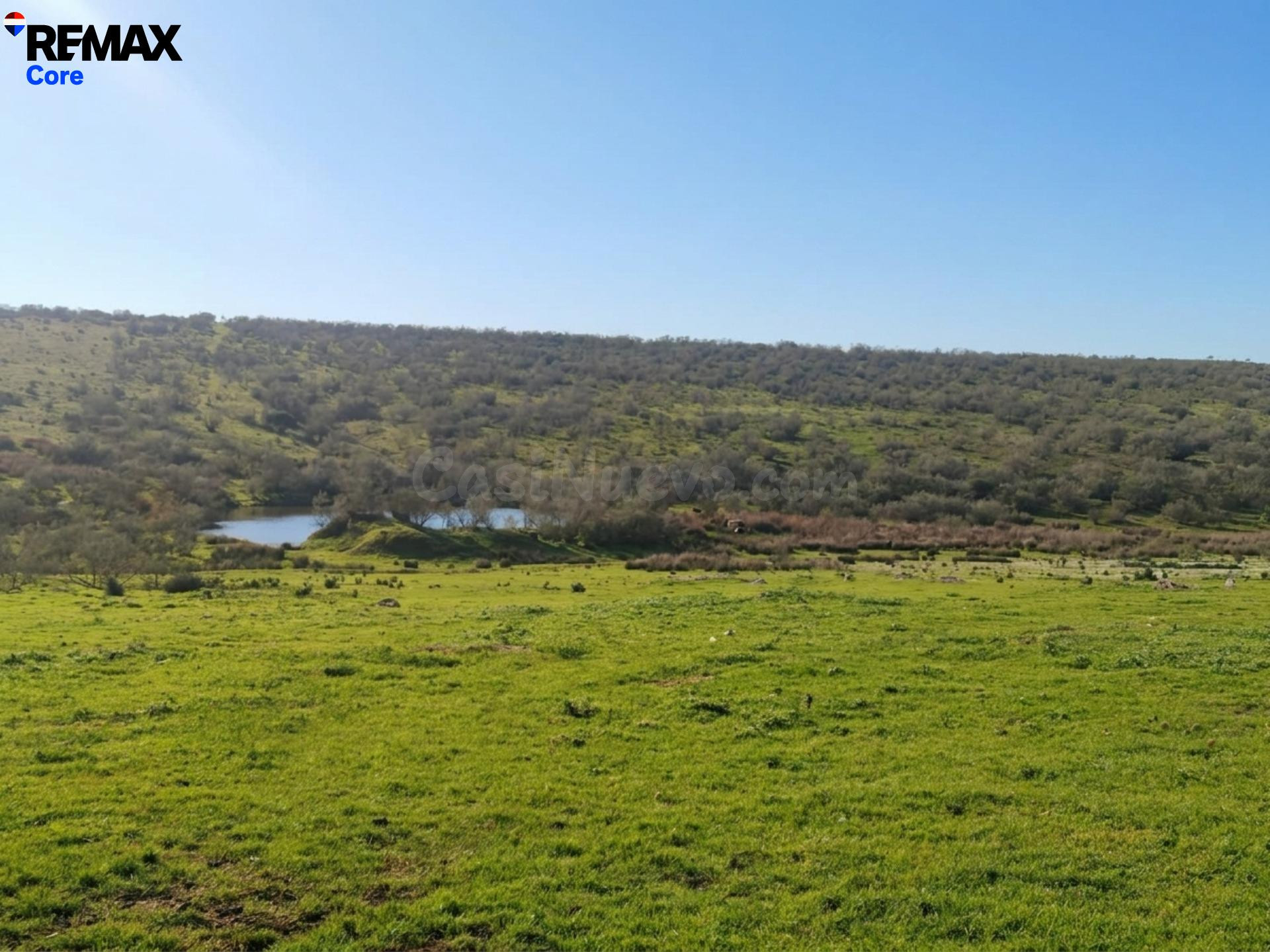 Finca Ganadera en Venta: Oportunidad de Inversión - foto 2