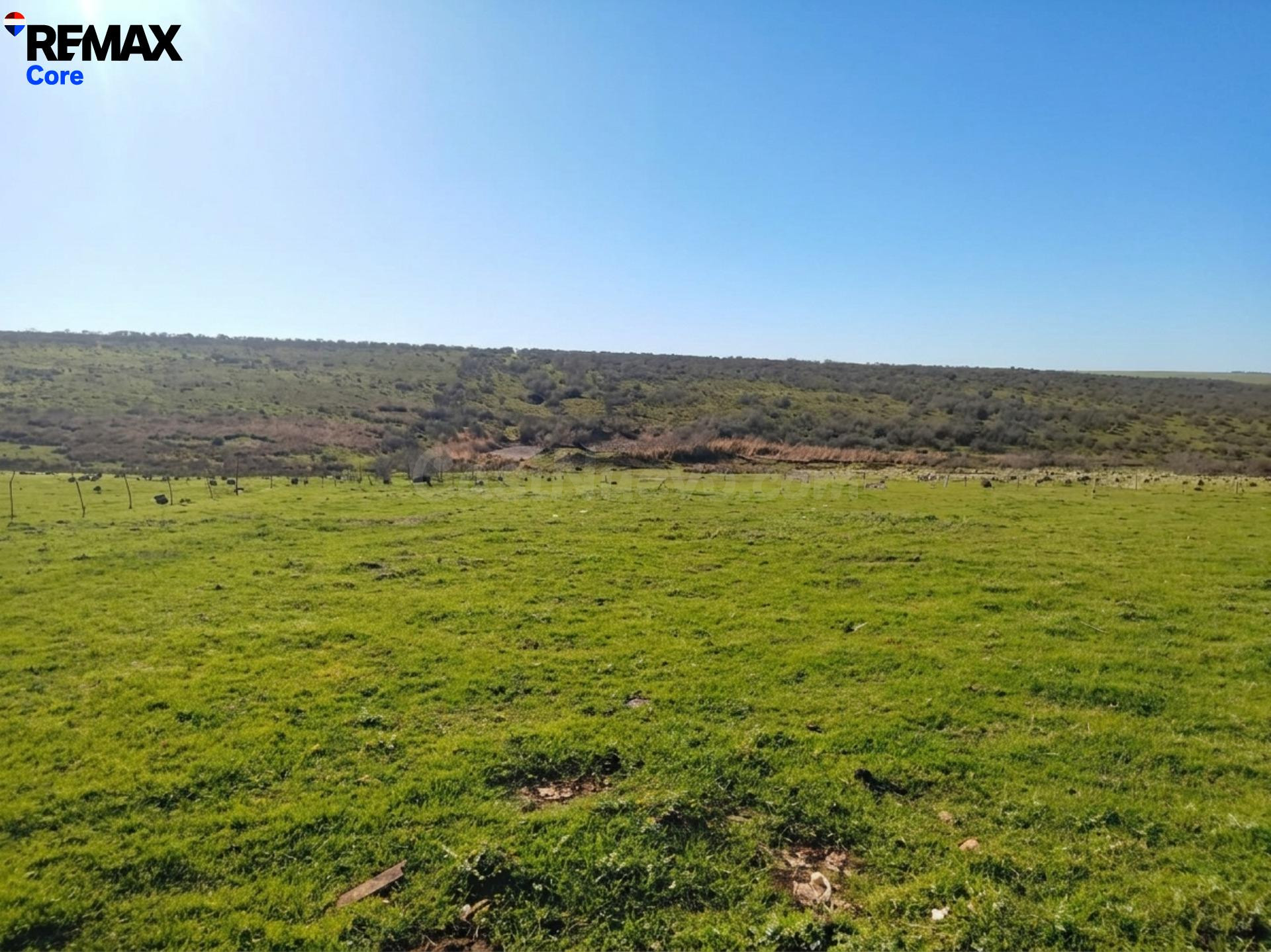 Finca Ganadera en Venta: Oportunidad de Inversión - foto 3