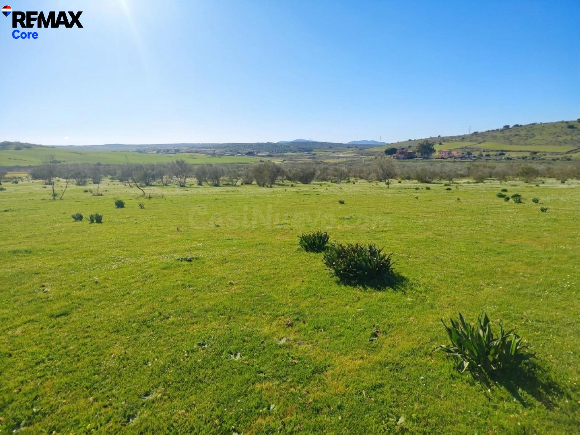Finca Ganadera en Venta: Oportunidad de Inversión - foto 4