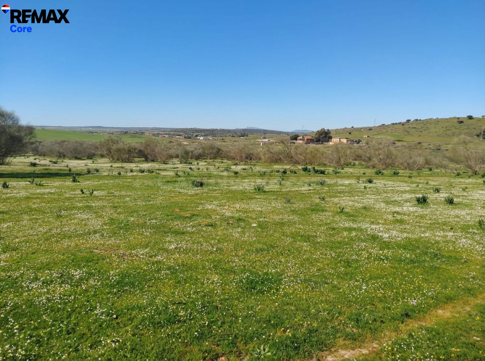 Finca Ganadera en Venta: Oportunidad de Inversión - foto 5