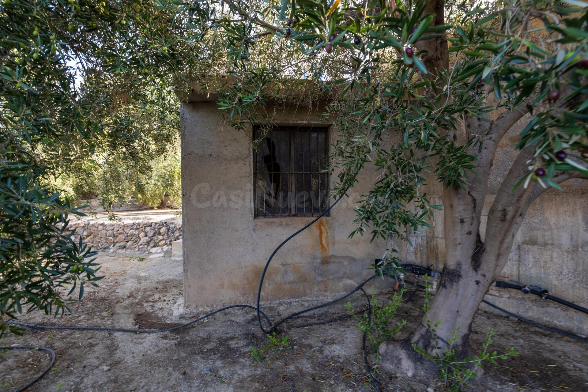 ¡Oportunidad única! Dos Fincas rústicas de mas de 15.000 m2  - foto 2