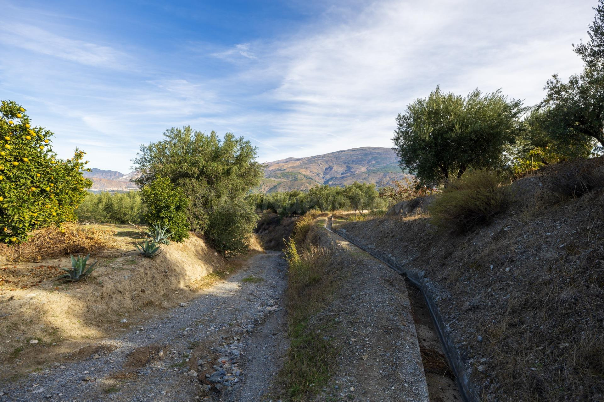 ¡Oportunidad única! Dos Fincas rústicas de mas de 15.000 m2  - foto 5