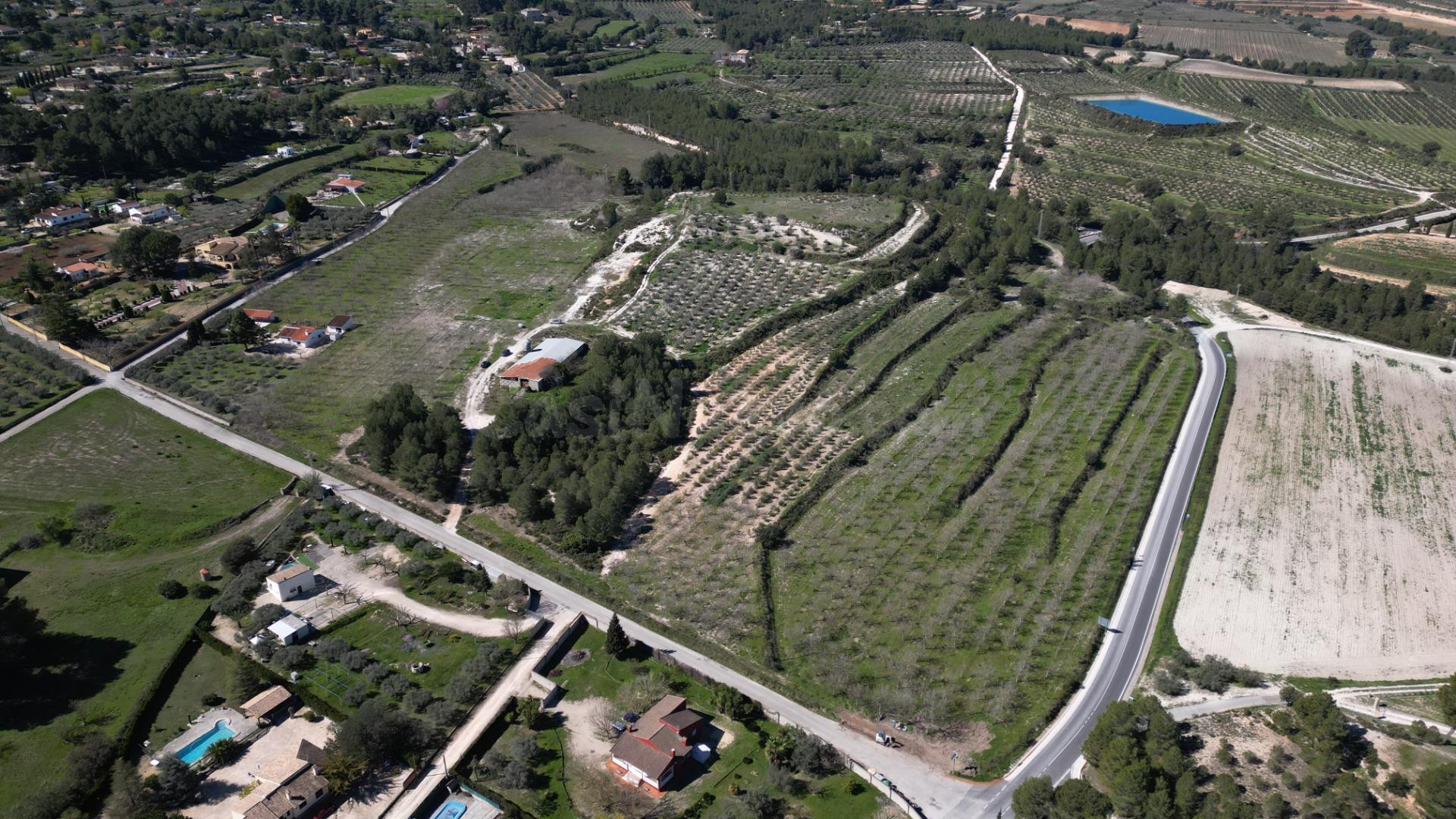 ESPECTACULAR FINCA RUSTICA EN ONTINYENT - foto 5