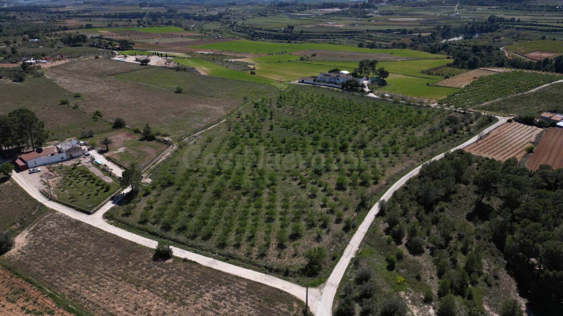 FINCA EN L OLLERIA