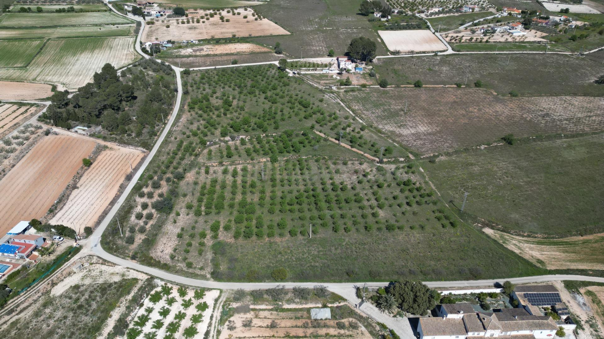 FINCA EN L OLLERIA - foto 5
