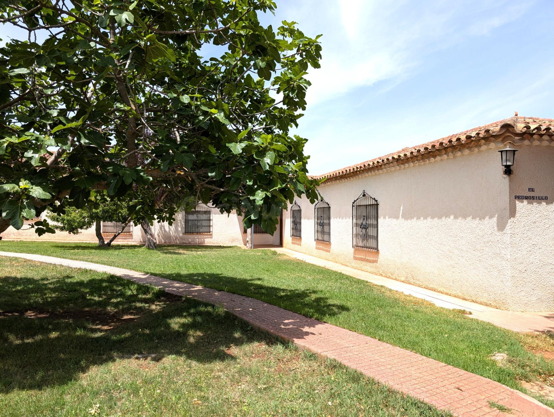 Magnífica Finca de 1.445 Has en rentabilidad a la venta. - foto 2