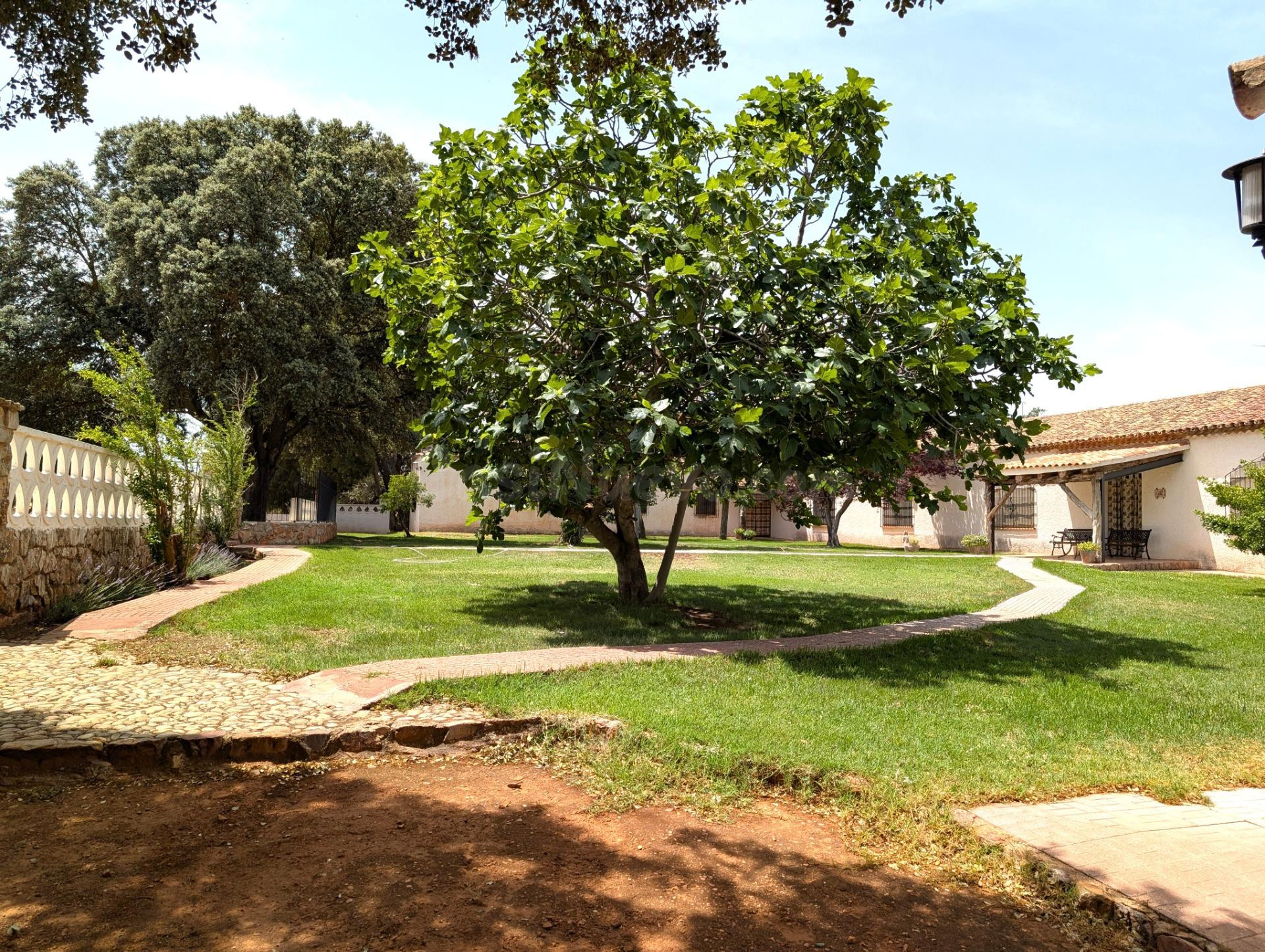 Magnífica Finca de 1.445 Has en rentabilidad a la venta. - foto 4