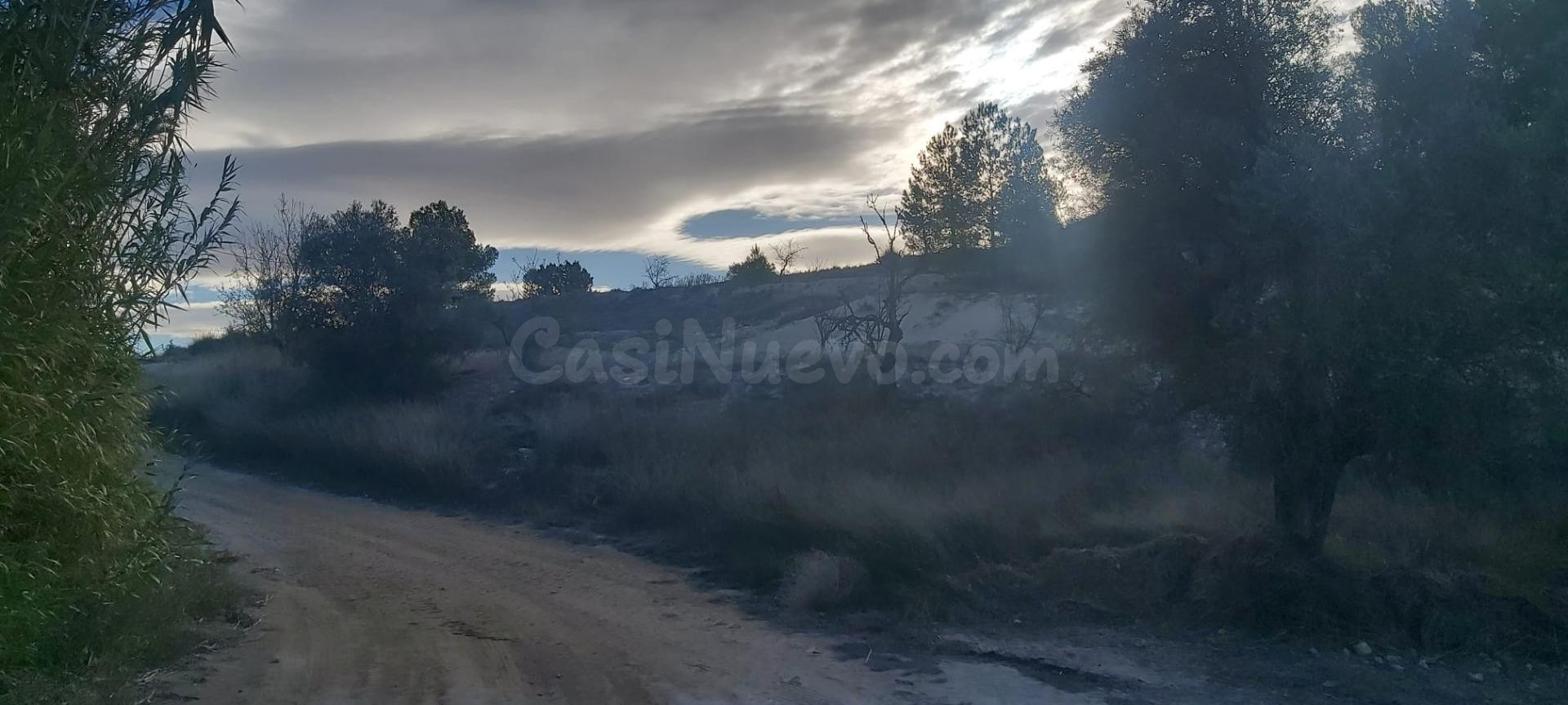 Finca R´ústica en Fuente del Pino, Monóvar - foto 4