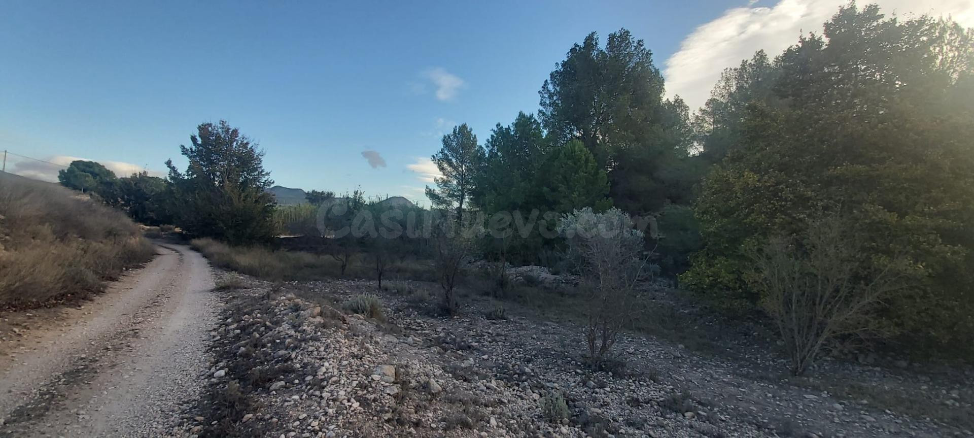Finca R´ústica en Fuente del Pino, Monóvar - foto 5