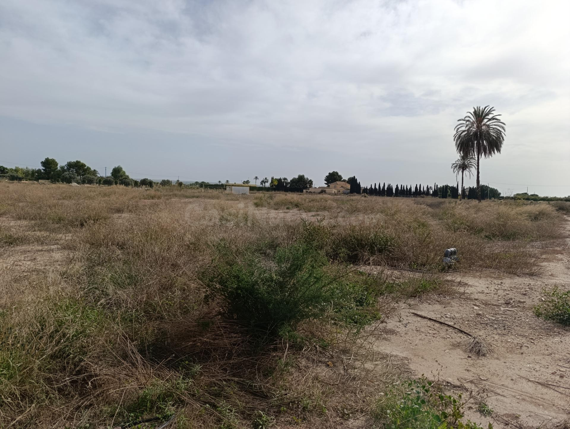 Casa de Campo para hacer varias parcelas - foto 4