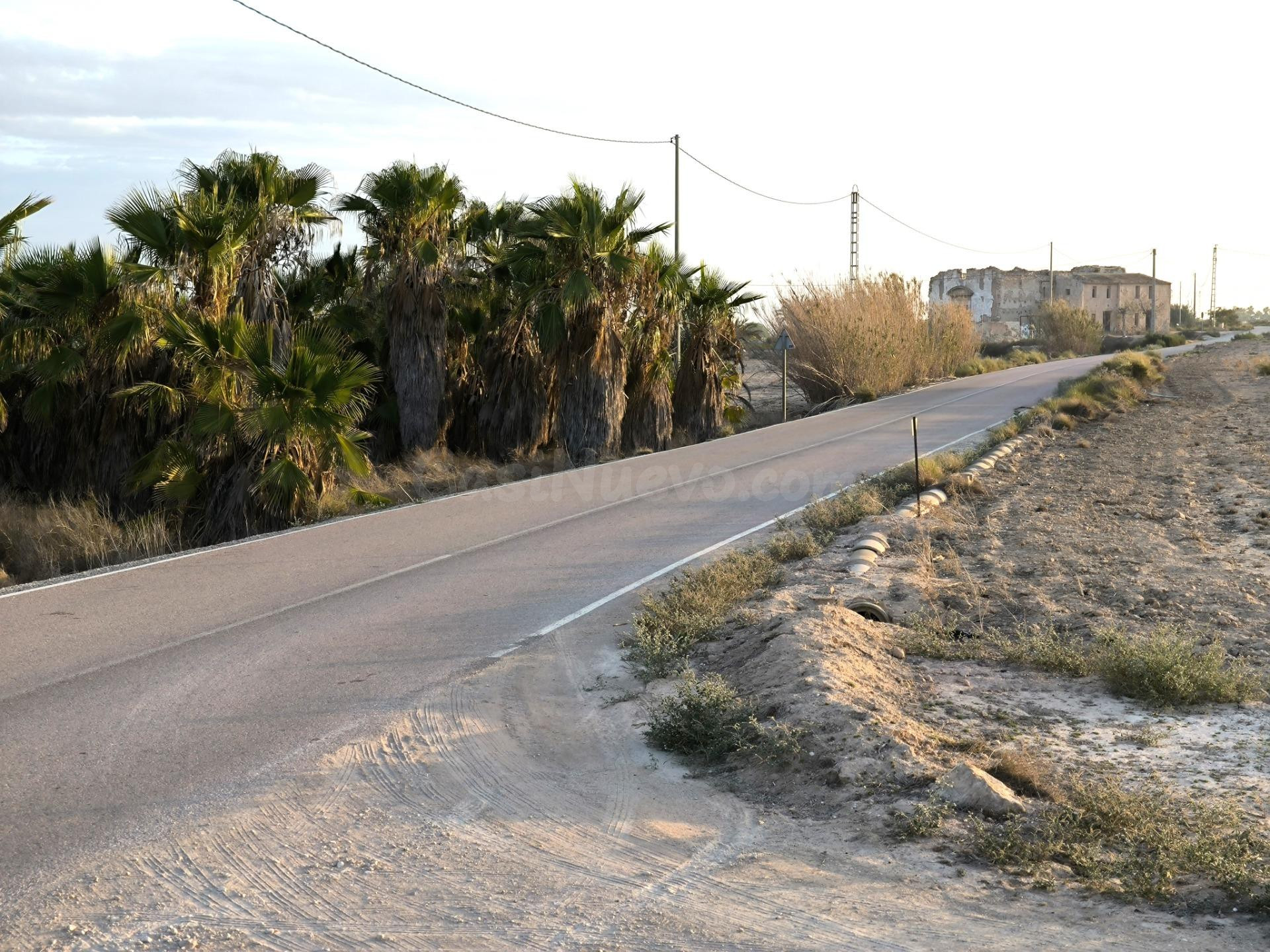 Finca Rustica en la Pedania de Marina (El Molar) Elche- Alicante
