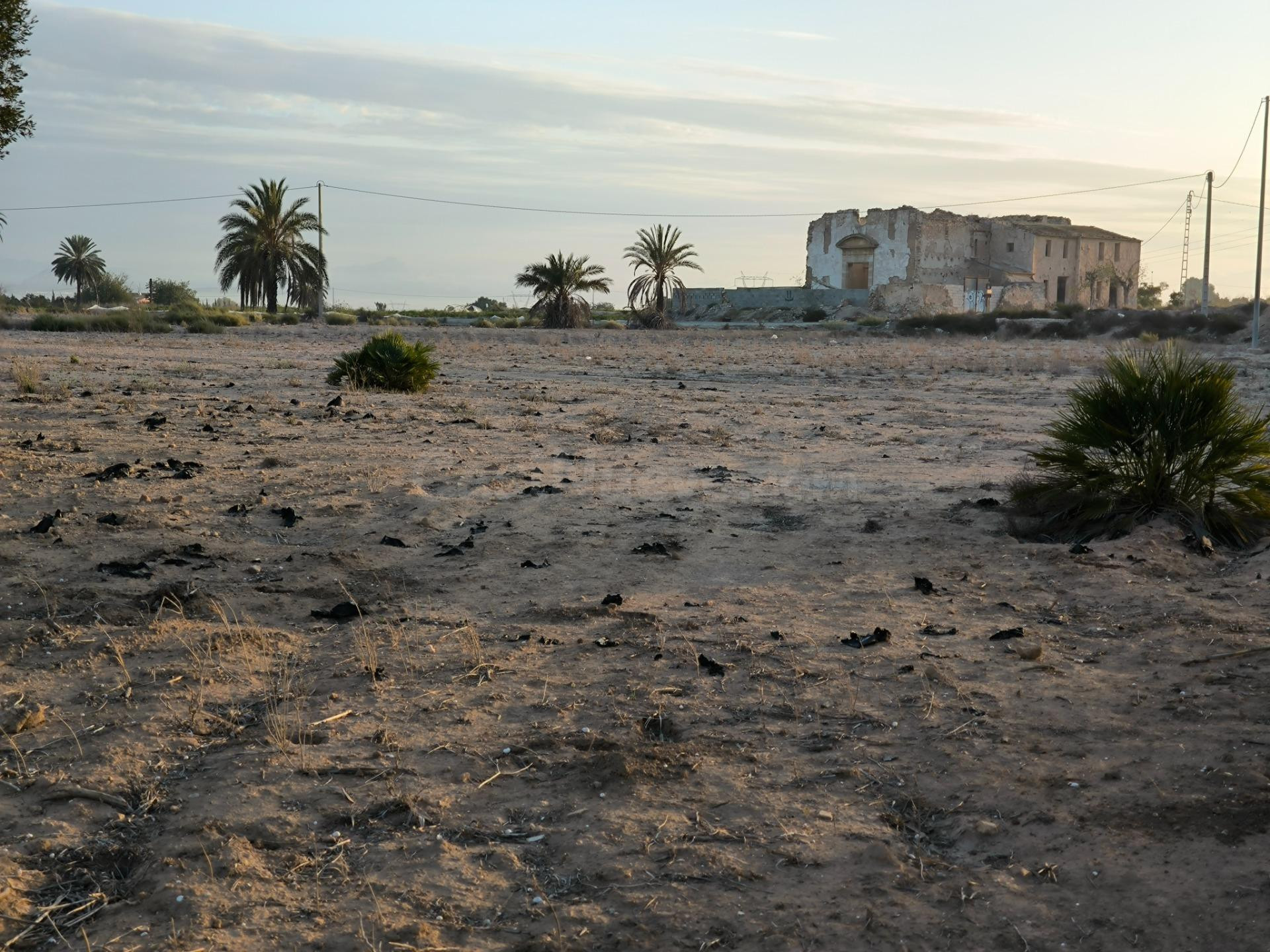 Finca Rustica en la Pedania de Marina (El Molar) Elche- Alicante - foto 2