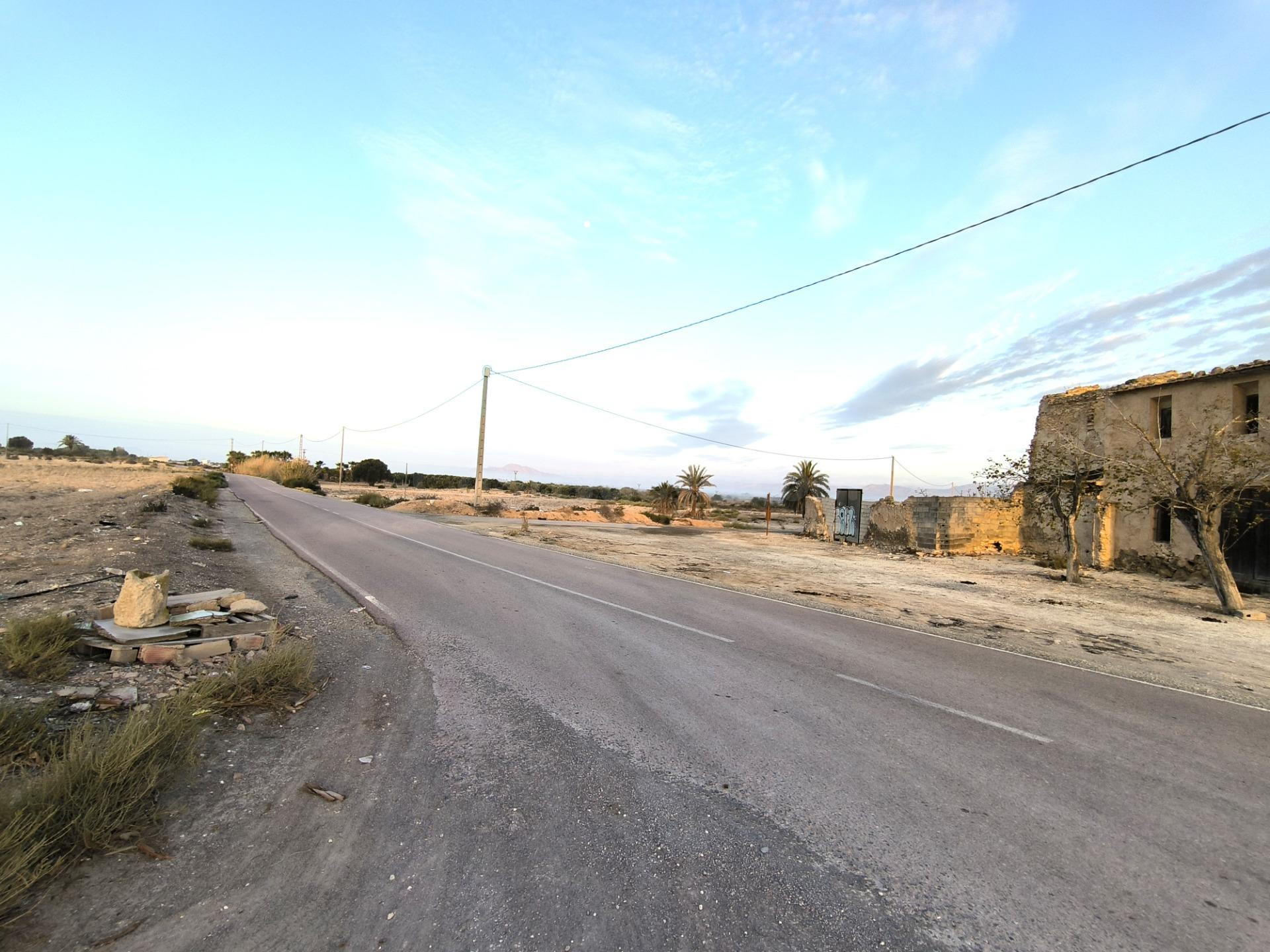 Finca Rustica en la Pedania de Marina (El Molar) Elche- Alicante - foto 3
