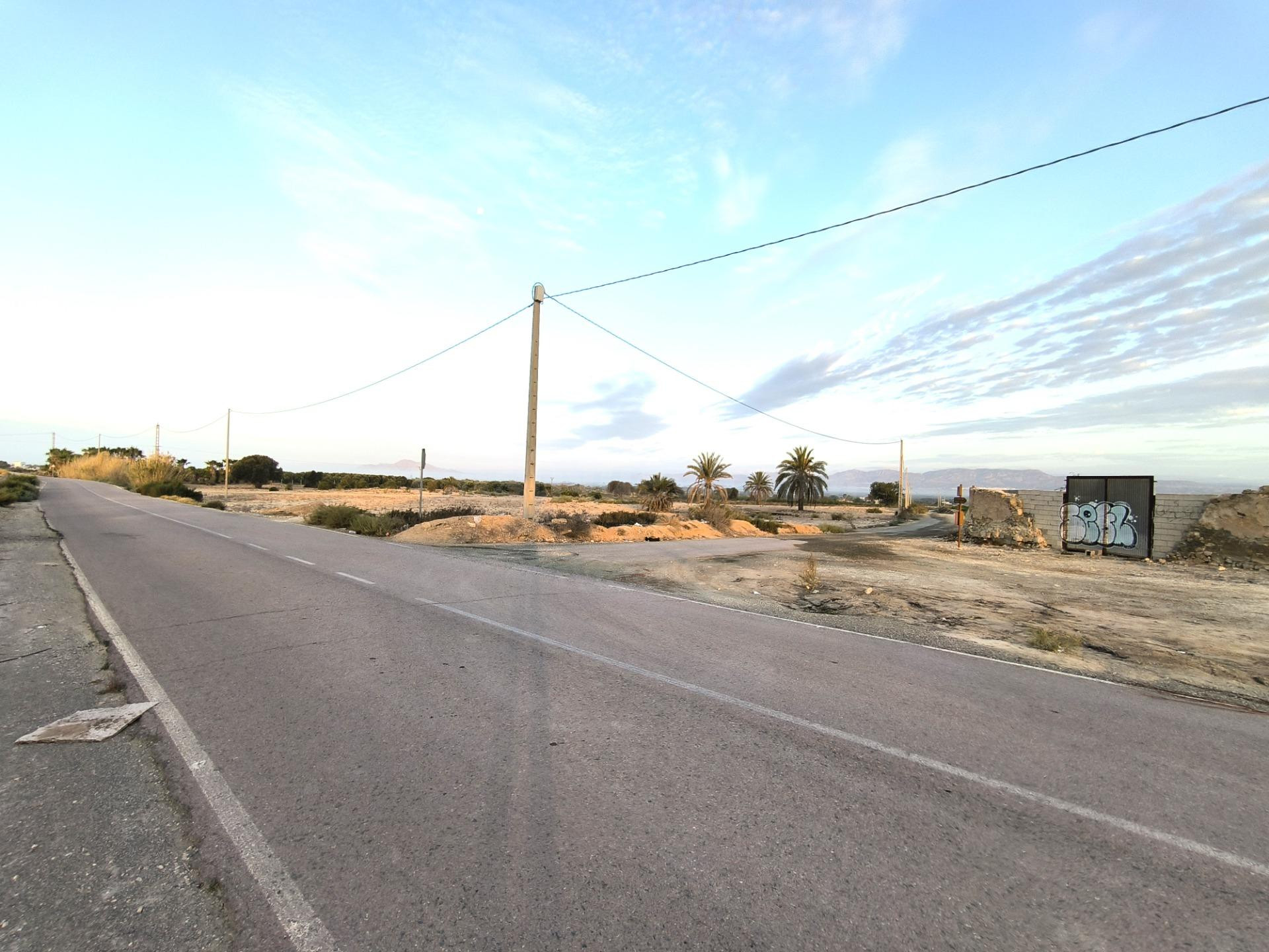 Finca Rustica en la Pedania de Marina (El Molar) Elche- Alicante - foto 4