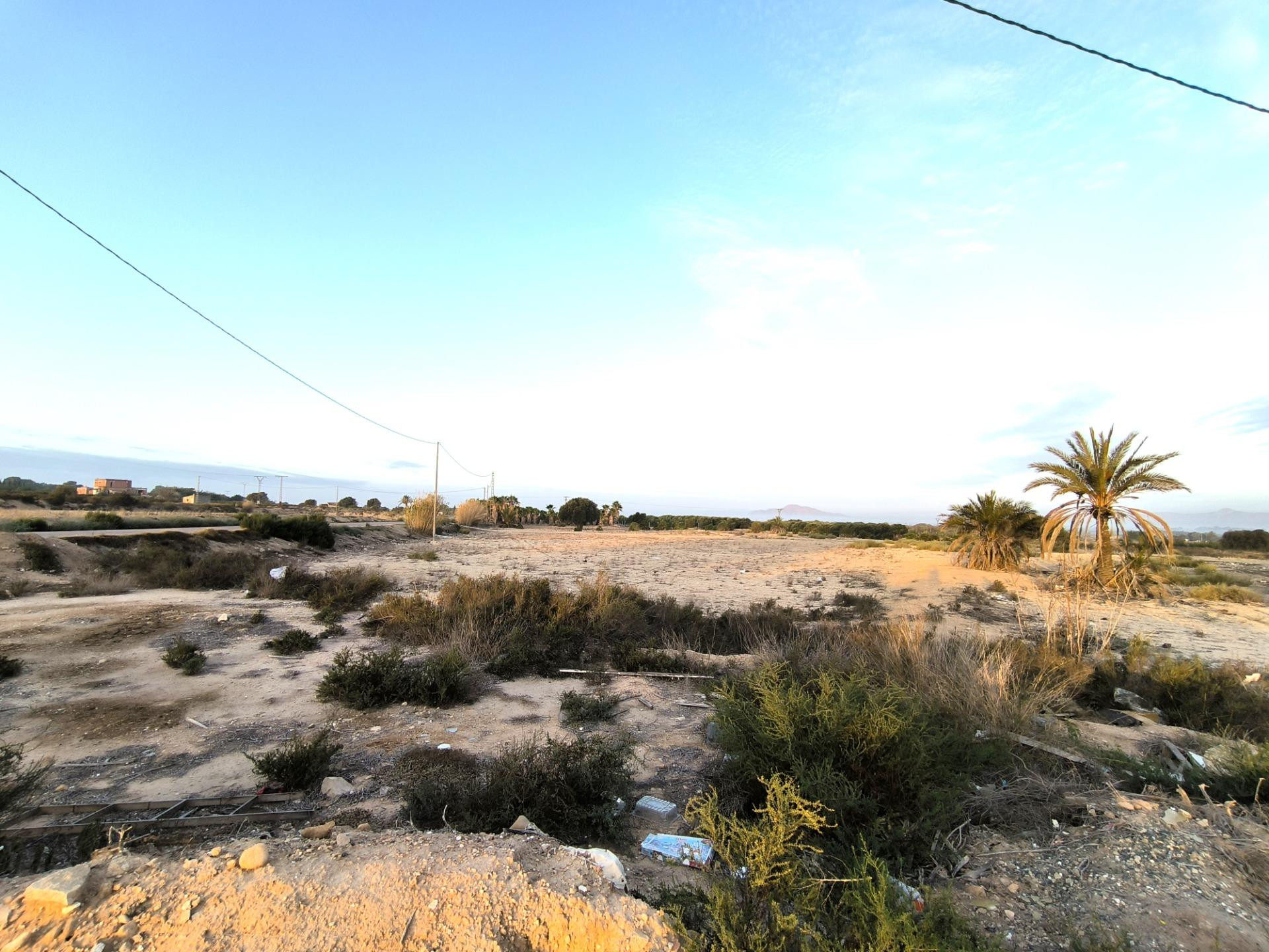 Finca Rustica en la Pedania de Marina (El Molar) Elche- Alicante - foto 5