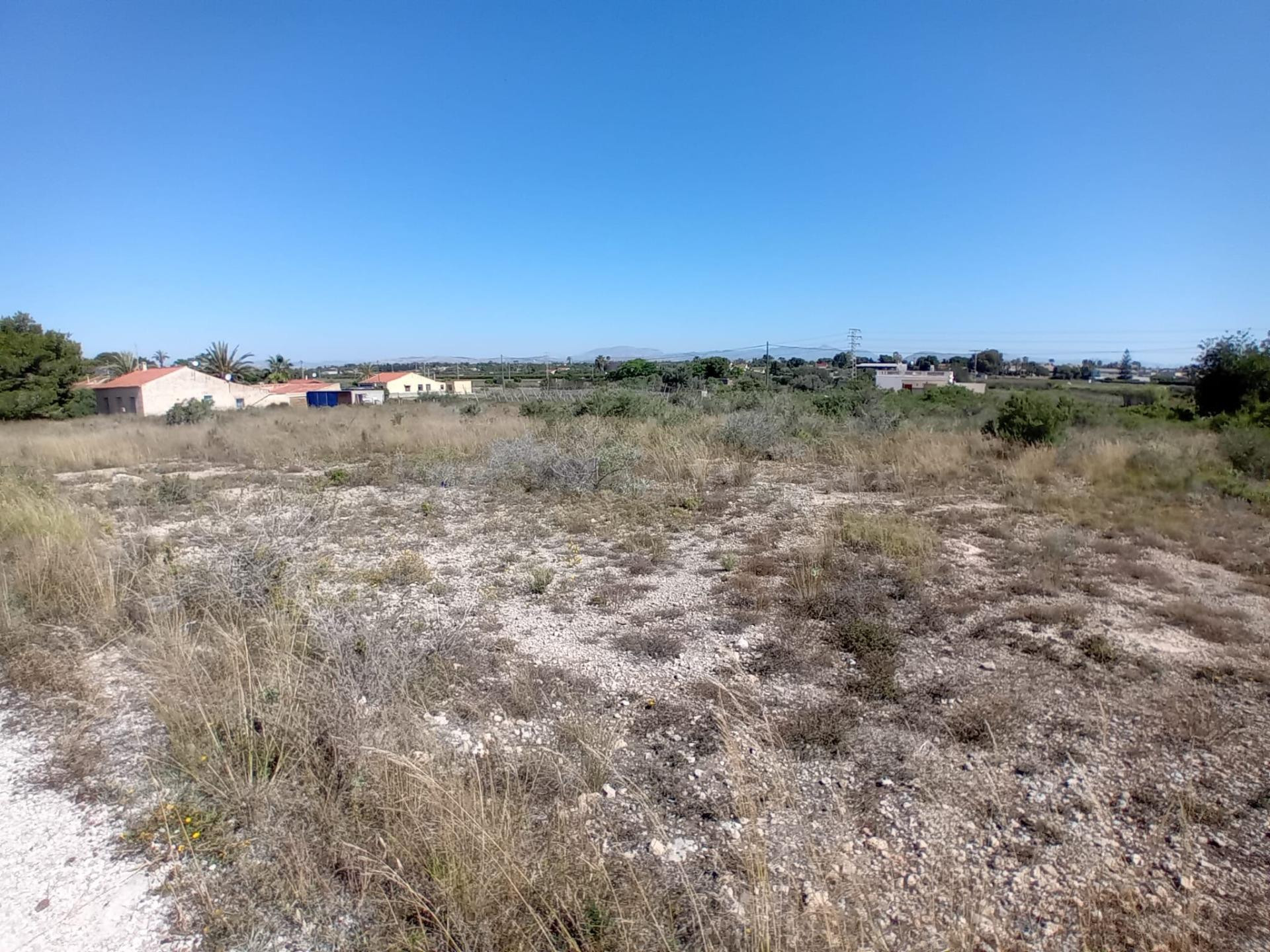 Terreno en Valverde, Elche - foto 2