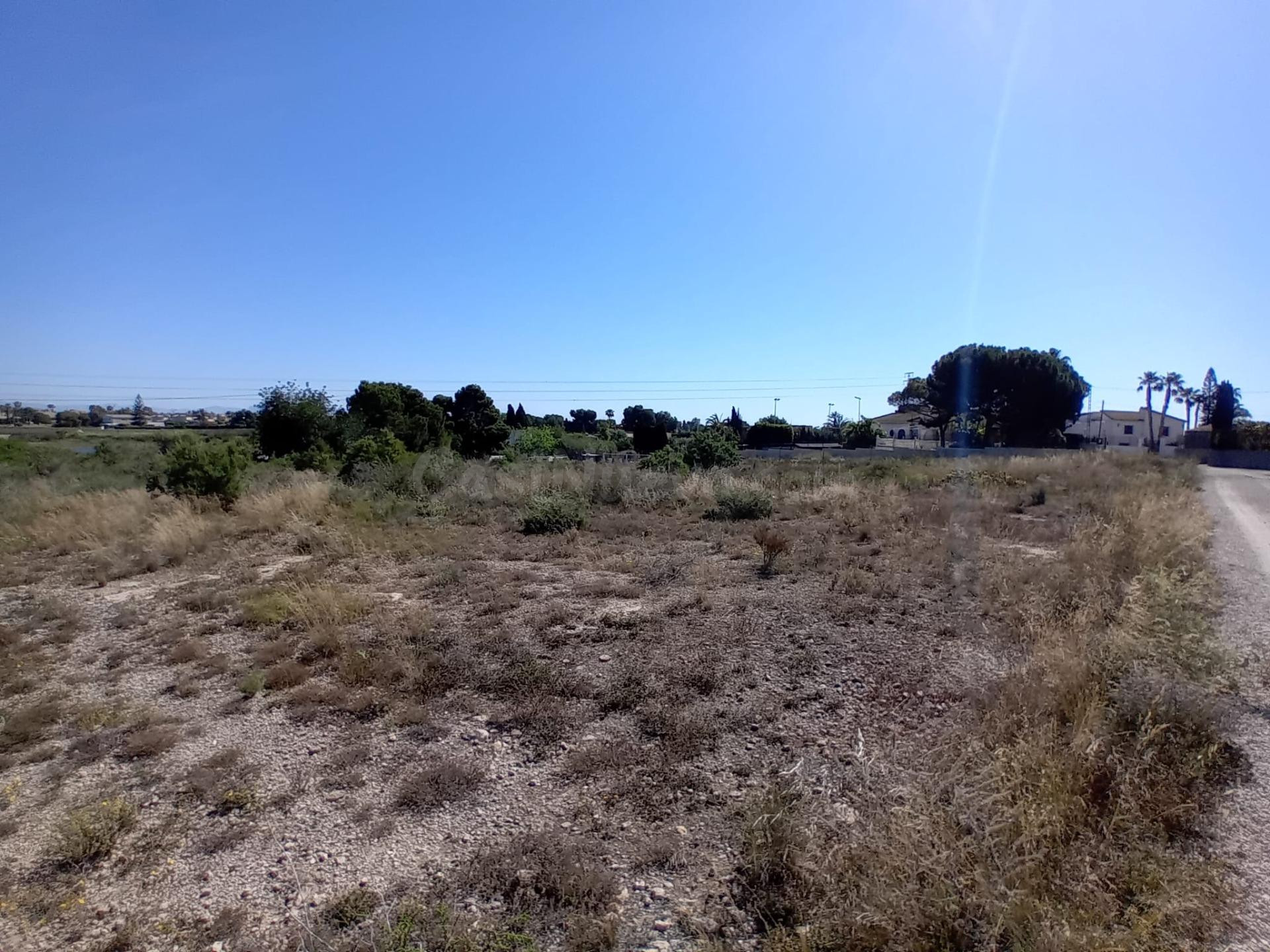 Terreno en Valverde, Elche - foto 3