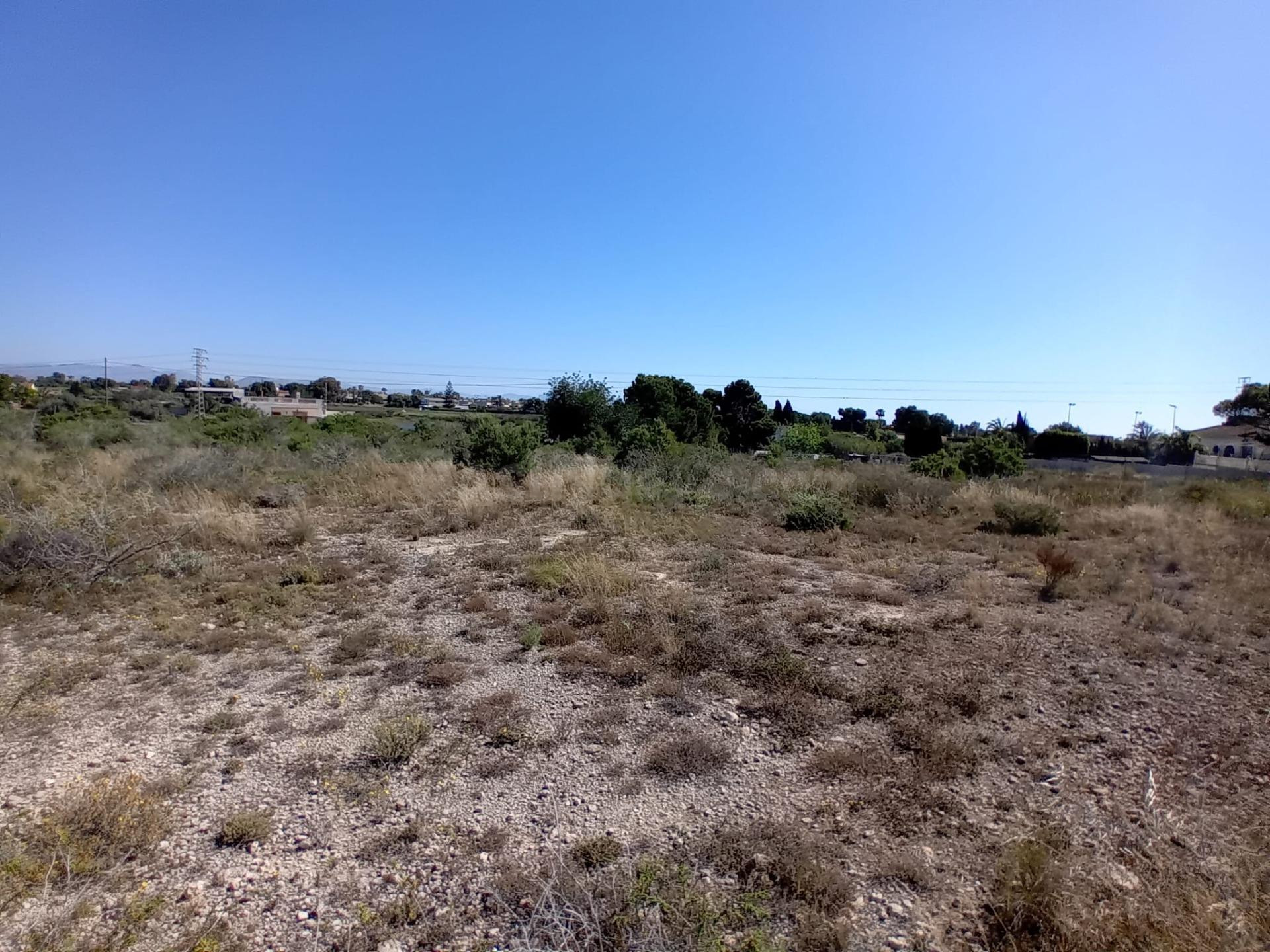 Terreno en Valverde, Elche - foto 4