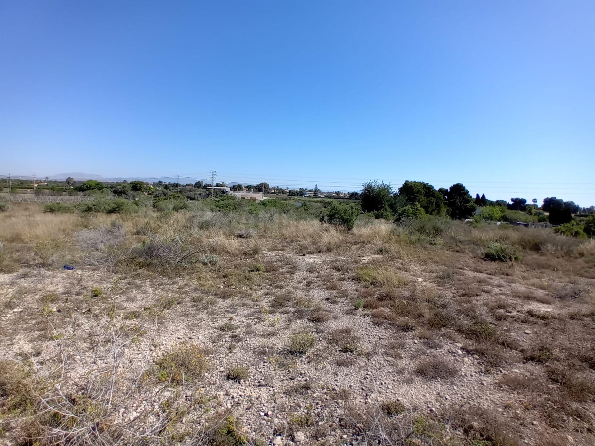 Terreno en Valverde, Elche - foto 5