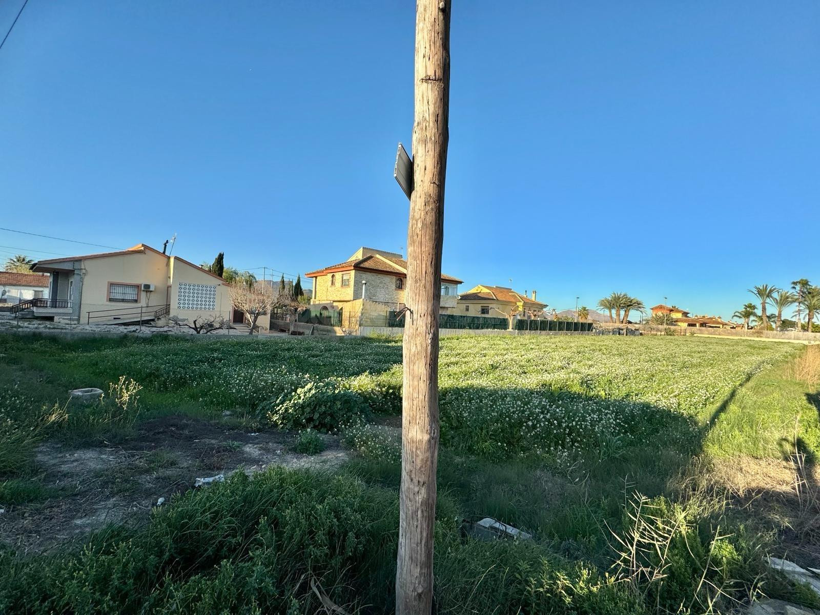 PARCELA EN BENIEL - foto 5