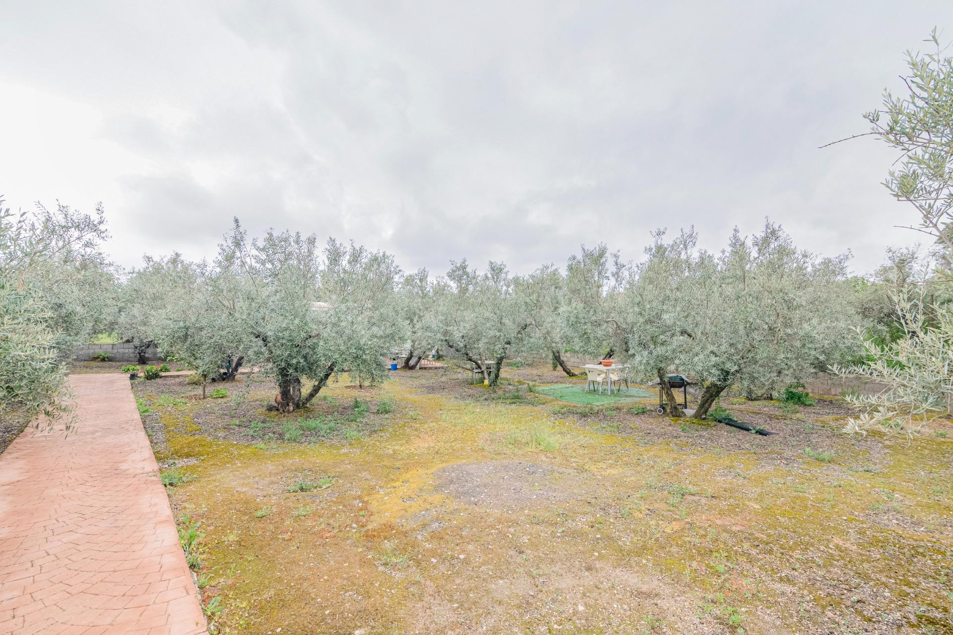 Terreno con Mobile Home - foto 4