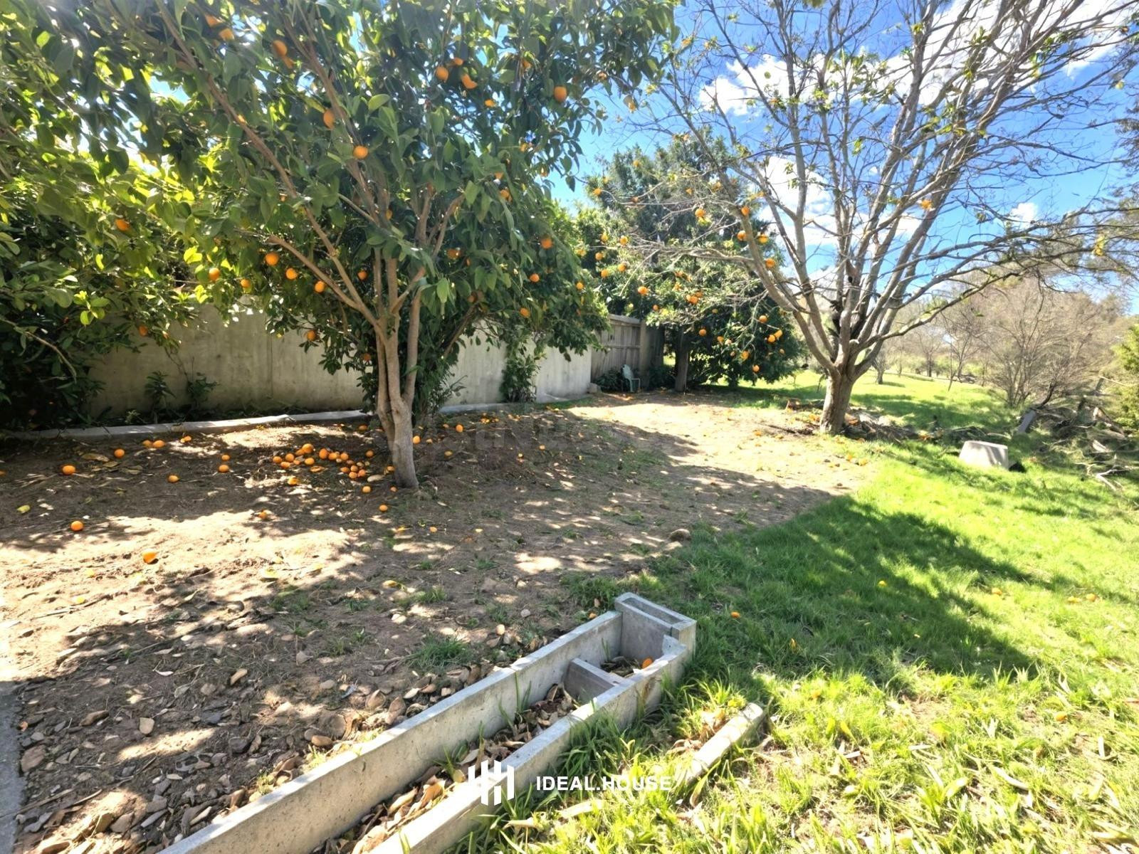 Casa con 4.000 m2 de parcela en Ribera de Molina | Espacio, 
