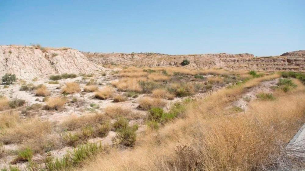 Suelo urbanizable situado en La Nueva Condomina - Murcia - foto 4