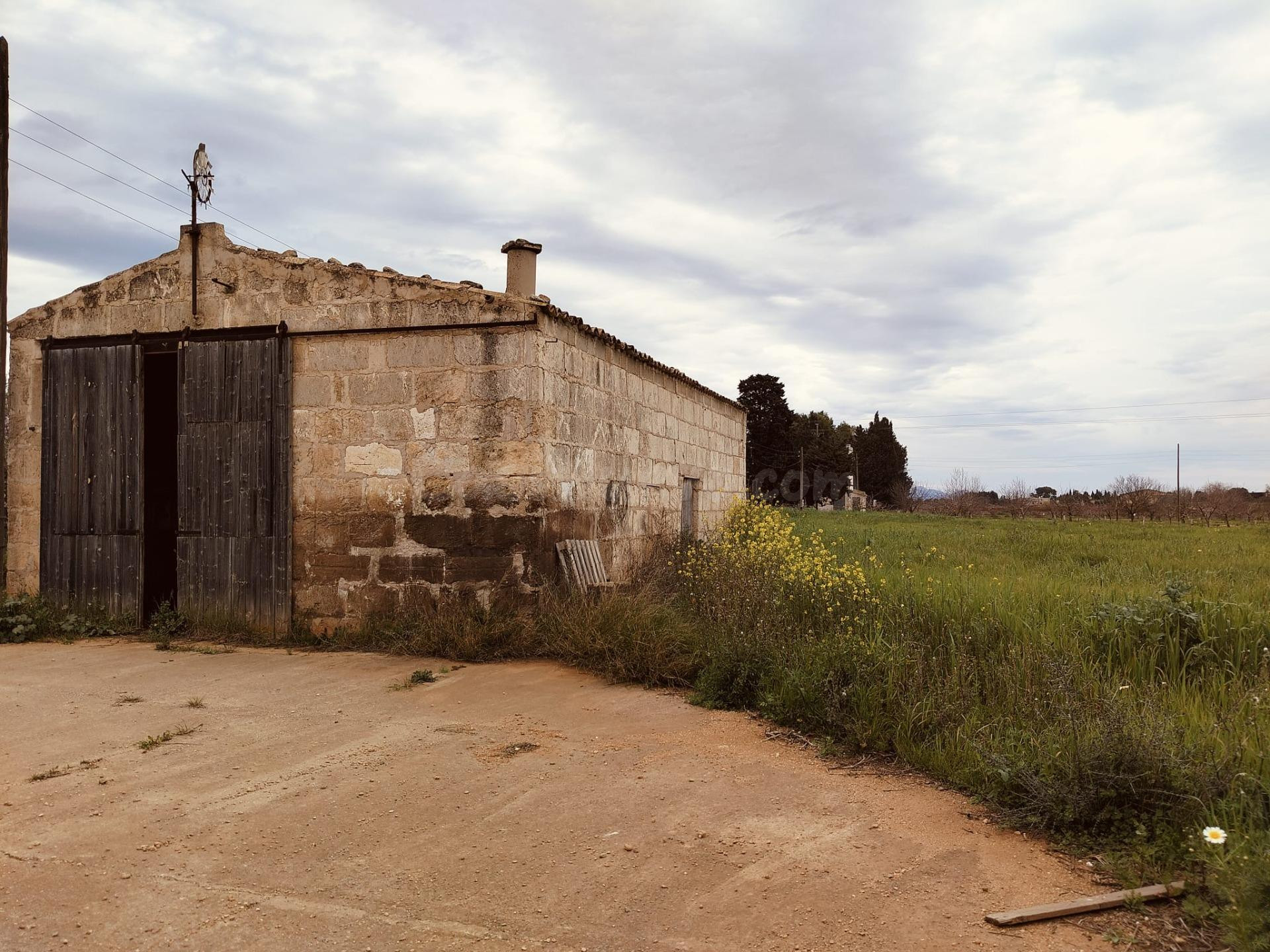 Se vende finca edificable en Sa Pobla - foto 2