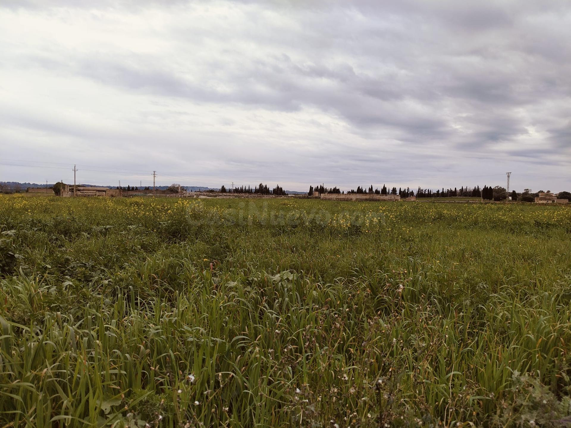 Se vende finca edificable en Sa Pobla - foto 3