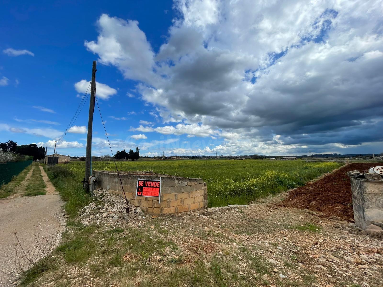 Se vende finca edificable en Sa Pobla - foto 4
