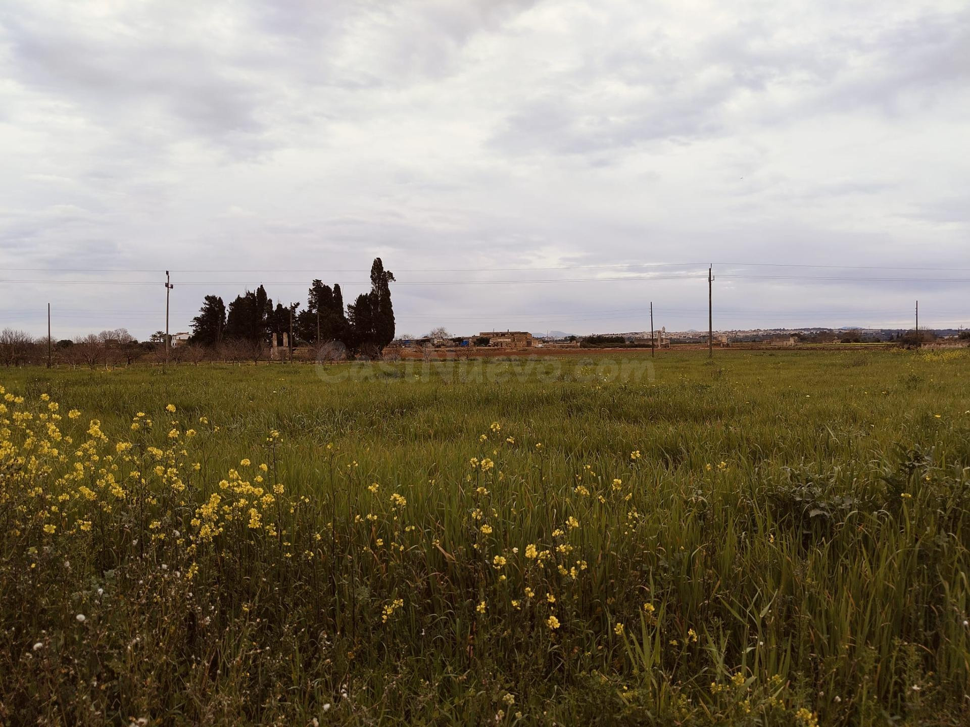 Se vende finca edificable en Sa Pobla - foto 5