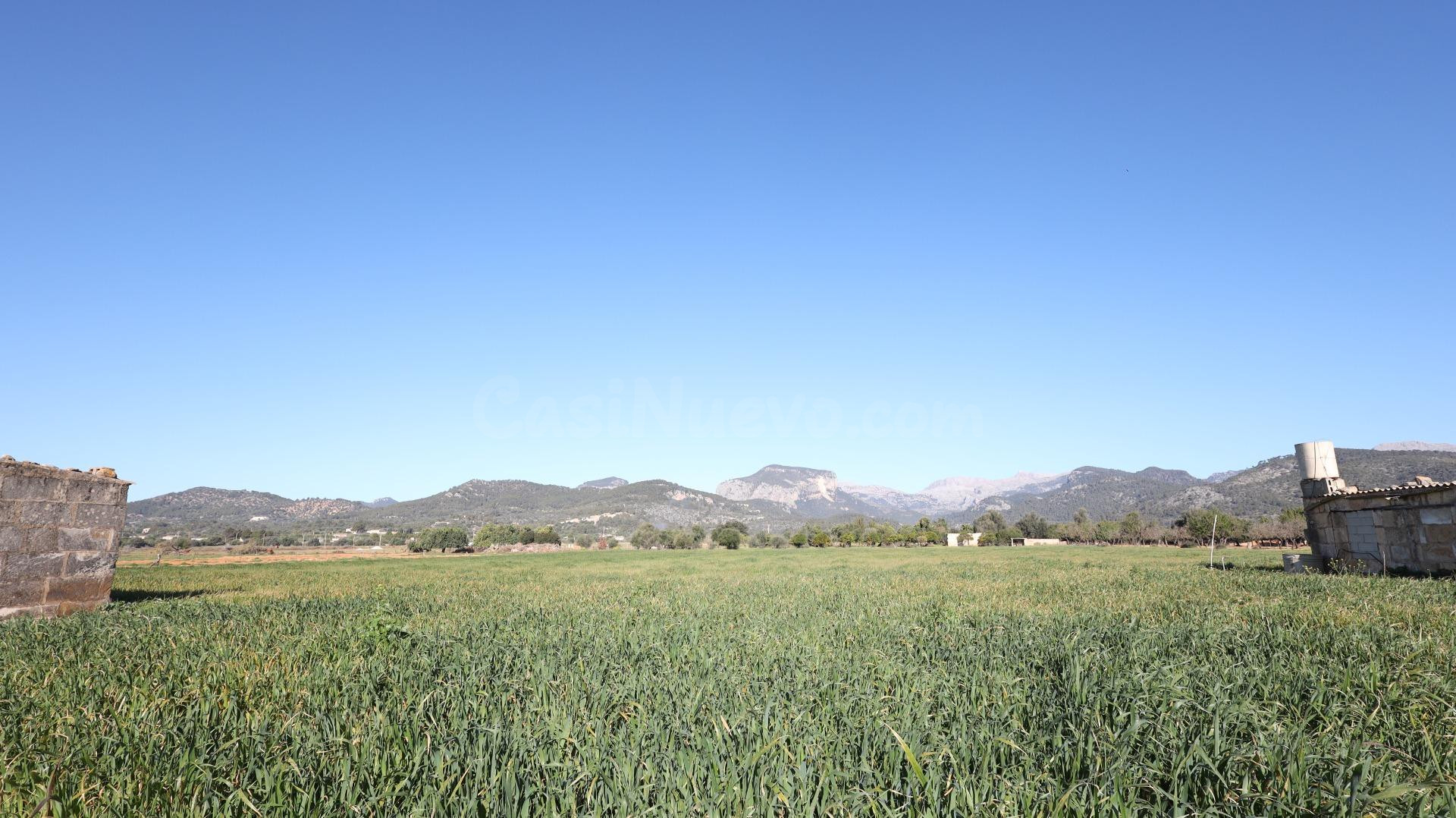 Se vende finca en Binissalem